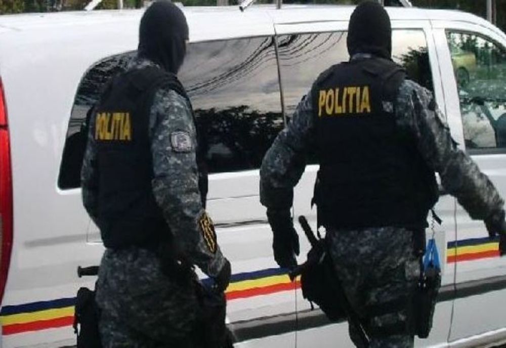 Polițiști atacați cu toporul într-o localitate din Bihor
