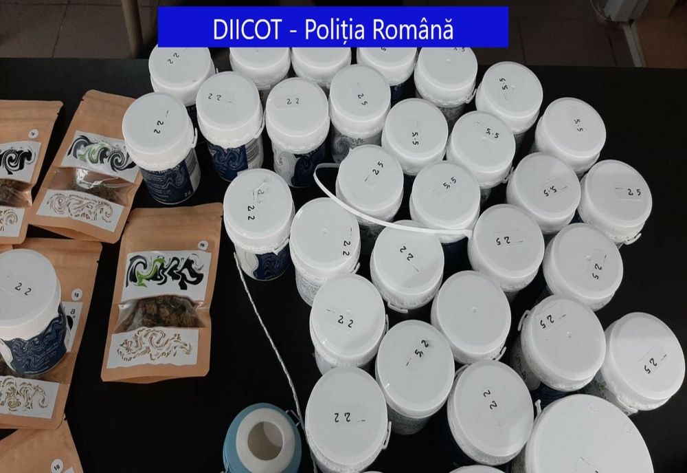 Perchezitii DIICOT în Oradea și Iasi la două firme suspectate de trafic de droguri