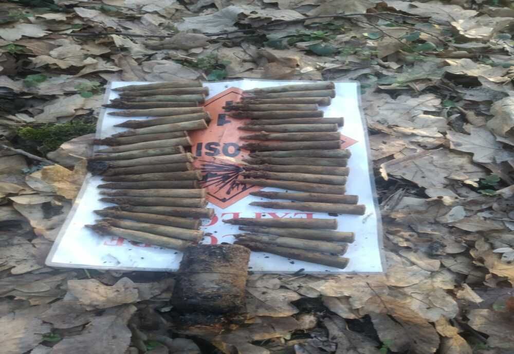 O grenadă și 40 de cartușe din cel de-al doilea Război Mondial, descoperite în Săldăbagiu de Munte