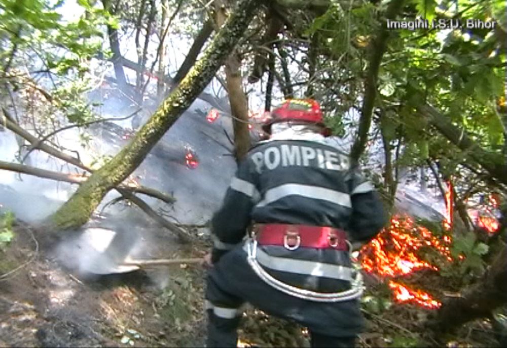 Trei incendii de vegetație, lichidate de pompierii bihoreni în ultimele 24 de ore