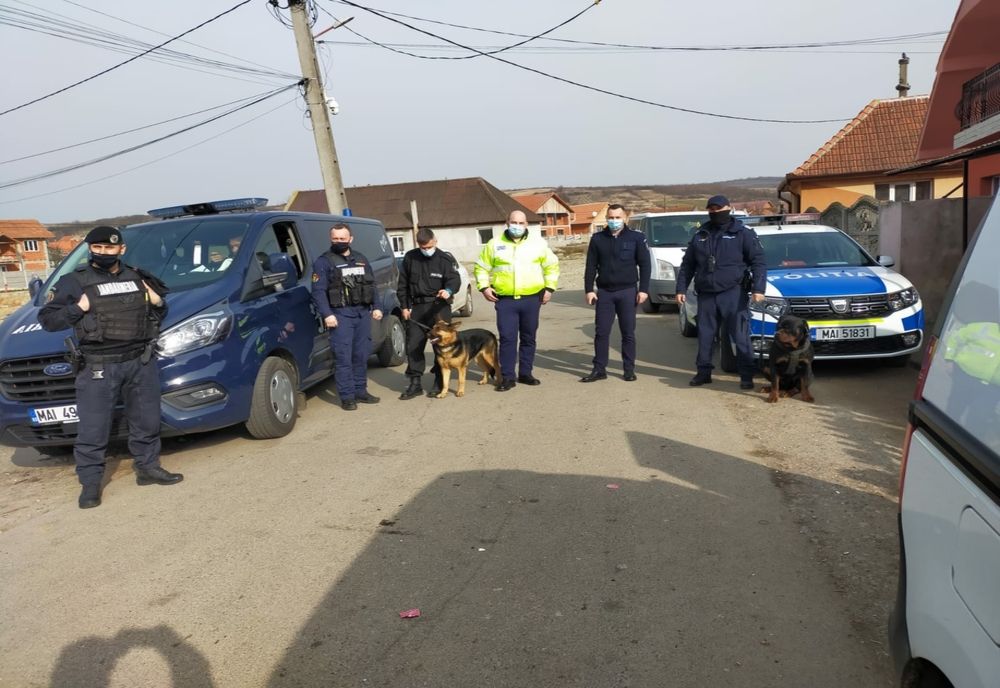 FOTO | Câinii polițiști, implicați în ampla acțiune a forțelor de aplicare a legii din Oradea
