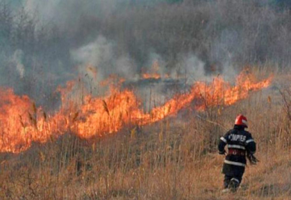 Incendii de vegetaţie în judeţul Bihor