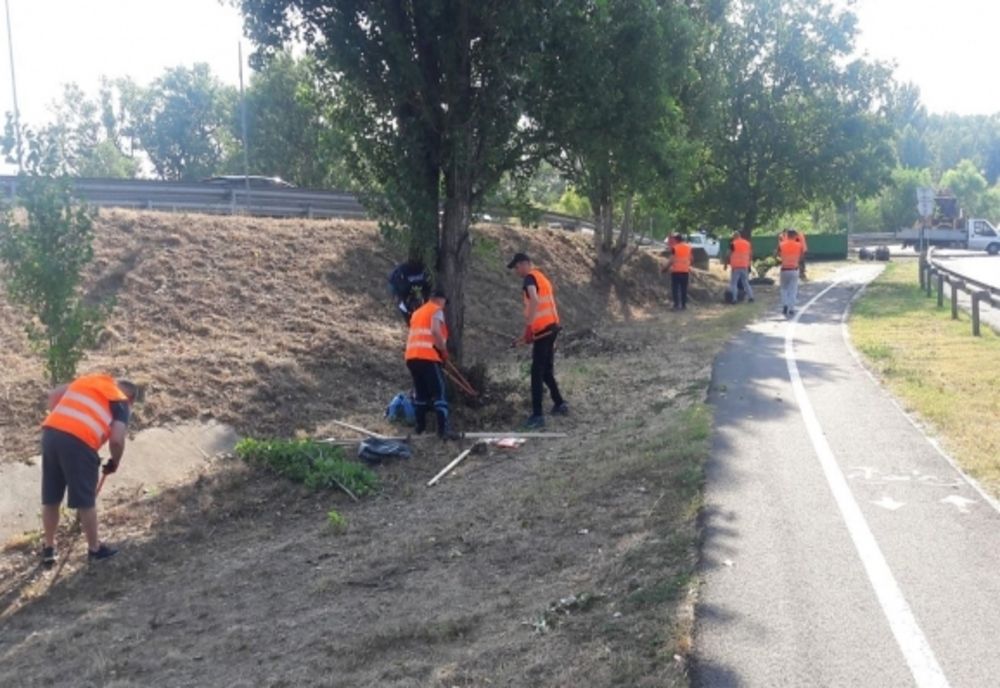 Deţinuţii de la Penitenciarul Oradea scoşi la muncă: curăţă şi igienizează spaţiile verzi din oraş