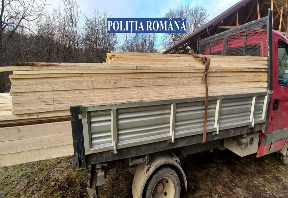 Zeci de metri cubi de material lemnos confiscaţi de poliţiştii bihoreni (FOTO)