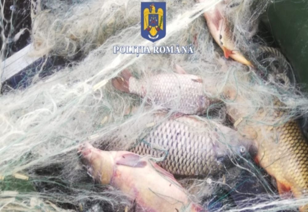 Bărbaţi din Bihor prinşi în zona Lacului Vârşolţ cu peste 500 kilograme de peşte