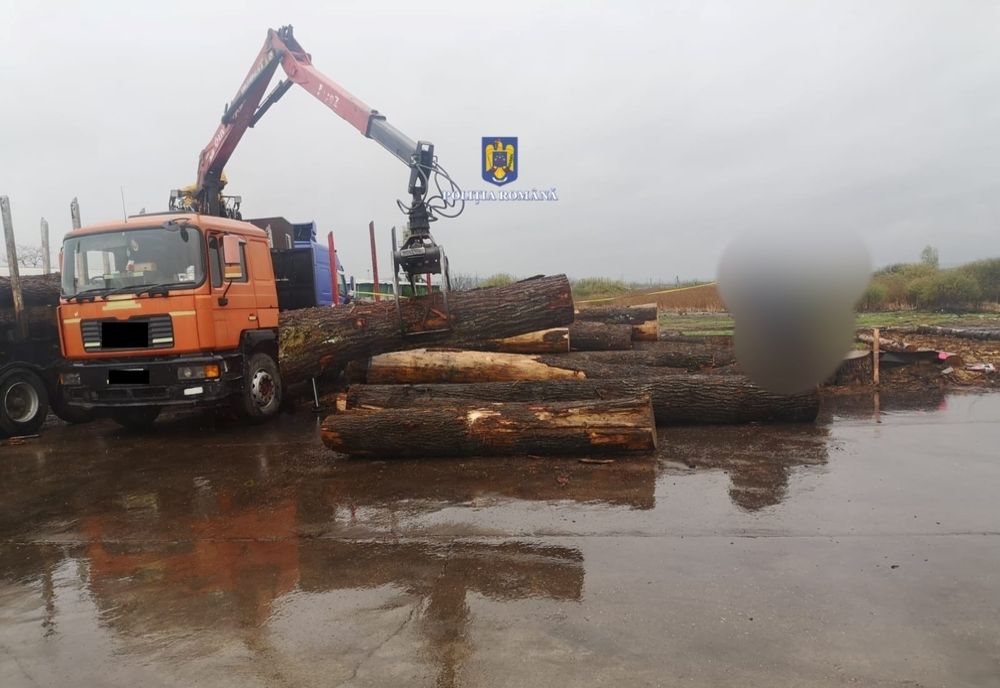 Aproximativ 65 mc de lemn fără forme legale, confiscat de polițiștii bihoreni