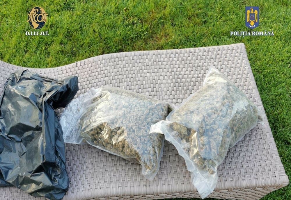 Percheziţii în Bihor, Arad şi Vâlcea la traficanţii de droguri! Vindeau cocaină, pastile de MDMA și canabis (FOTO)