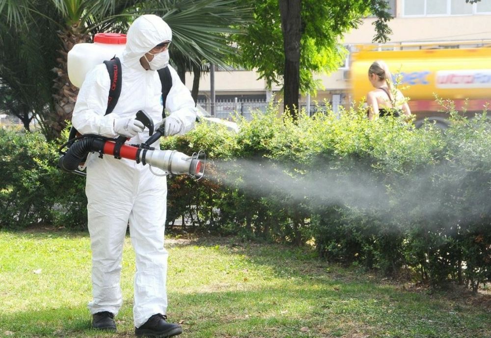 Acțiuni de dezinsecție în Oradea, în luna iunie