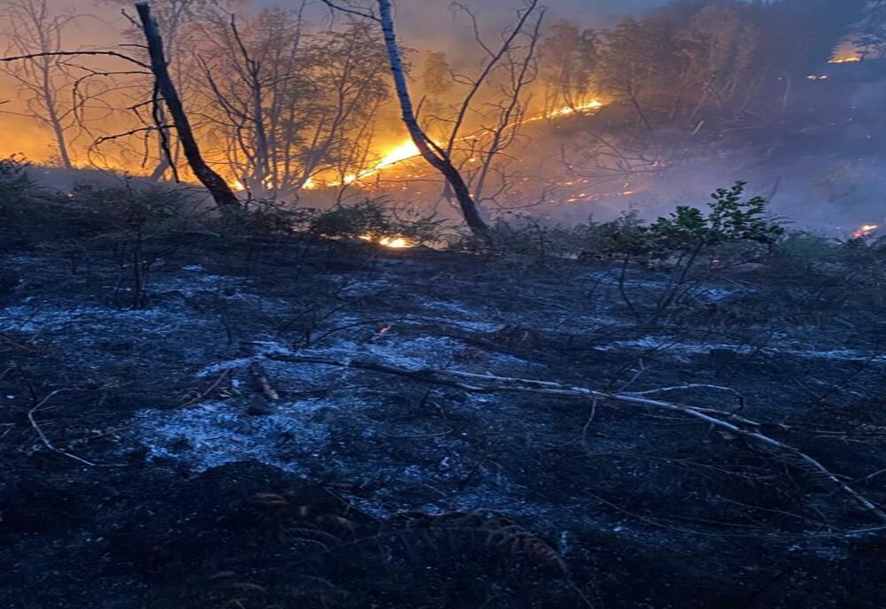 Incendiu pe Valea Aleului din munții Apuseni! 40 hectare vegetație uscată au ars