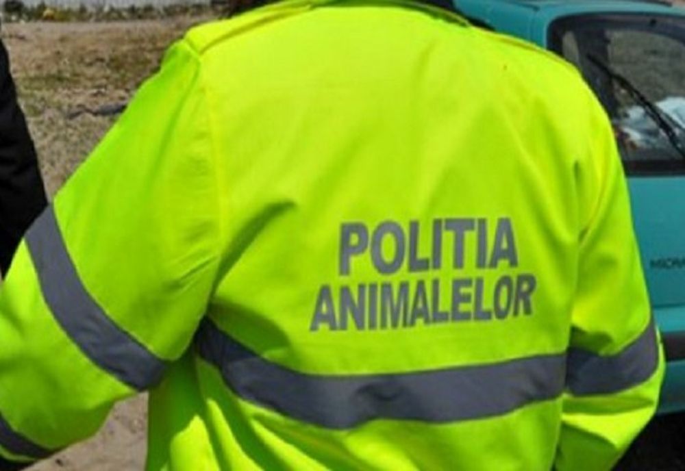 Bihorean reţinut de Poliţia Animalelor! Şi-a spânzurat câinele