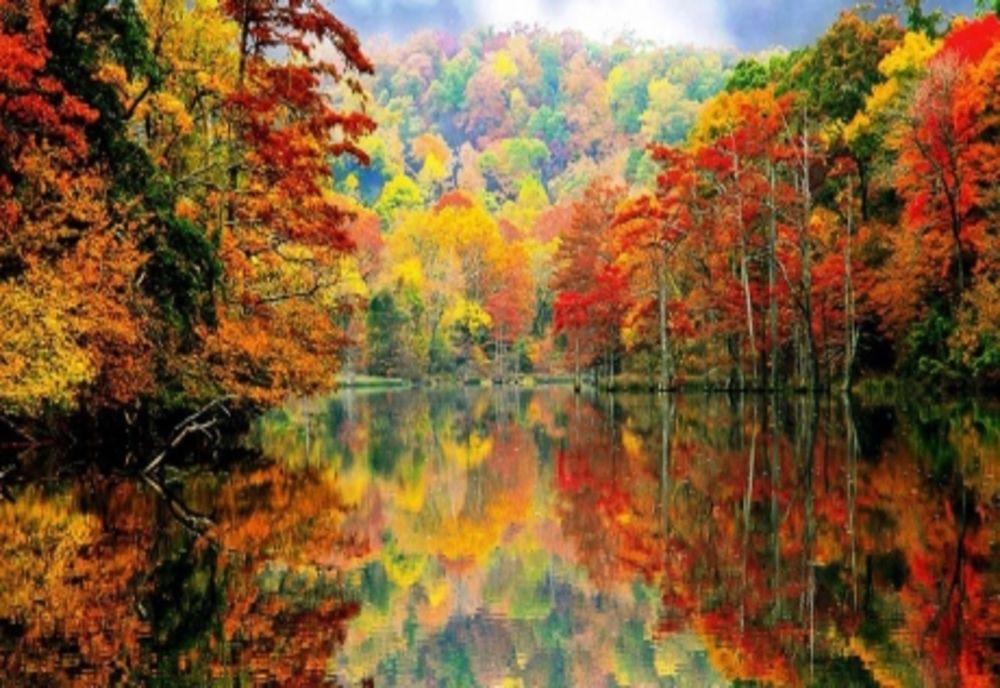 Prognoza meteo pe o lună. Temperaturi în creștere ușoară - cum va fi vremea în prima jumătate din noiembrie