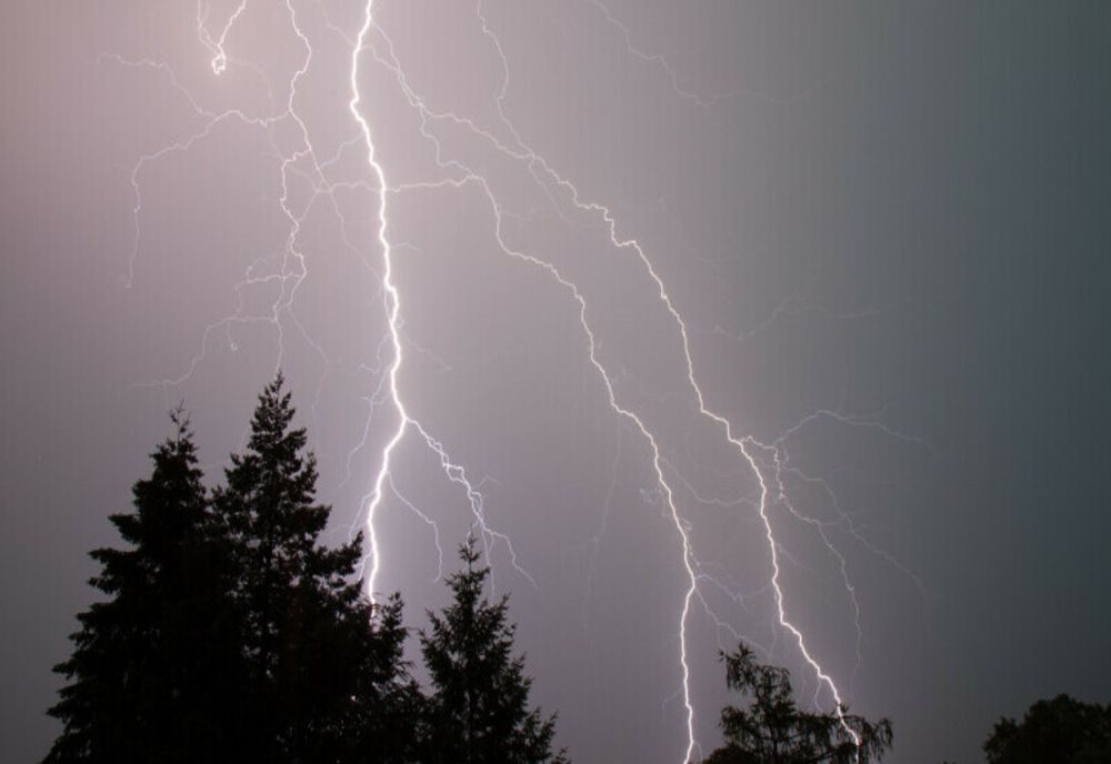 Un bihorean murit după ce a fost lovit de trăsnet, în timp ce culgea ciuperci într-o pădure