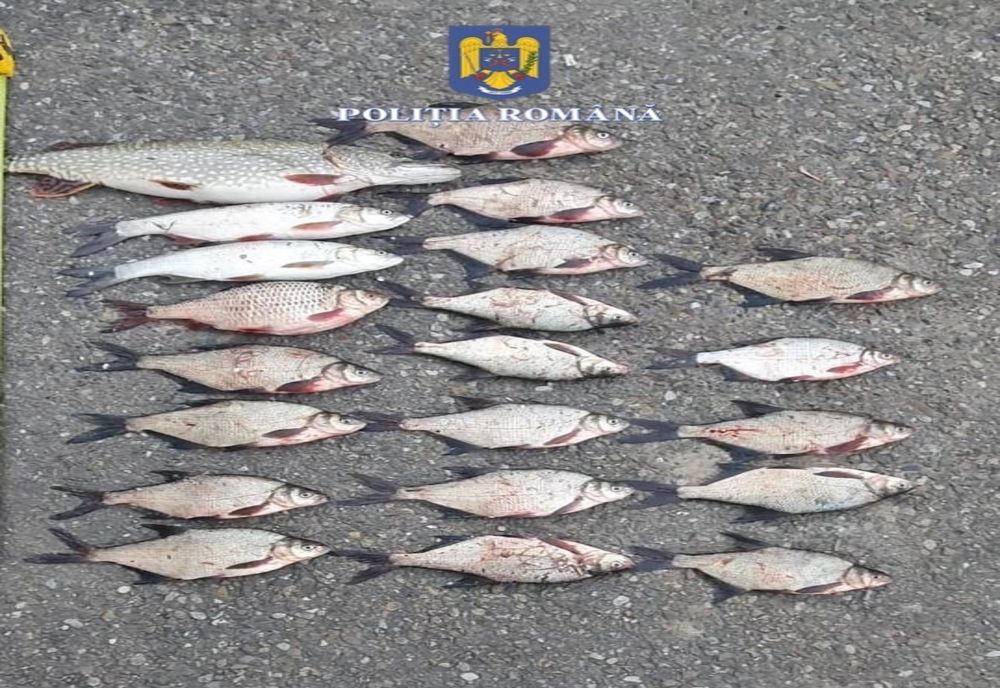 Braconieri prinşi în flagrant de poliţiştii bihoreni (FOTO)