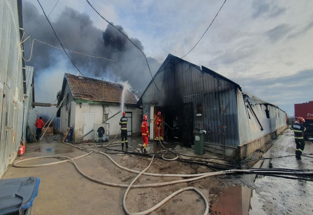 Alertă în Bihor! Două hale au fost cuprinse de flăcări (FOTO)