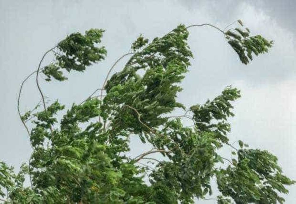 ATENȚIONARE COD GALBEN DE VÂNT PUTERNIC ȘI CANICULĂ ÎN MAI MULTE REGIUNI ALE ȚĂRII