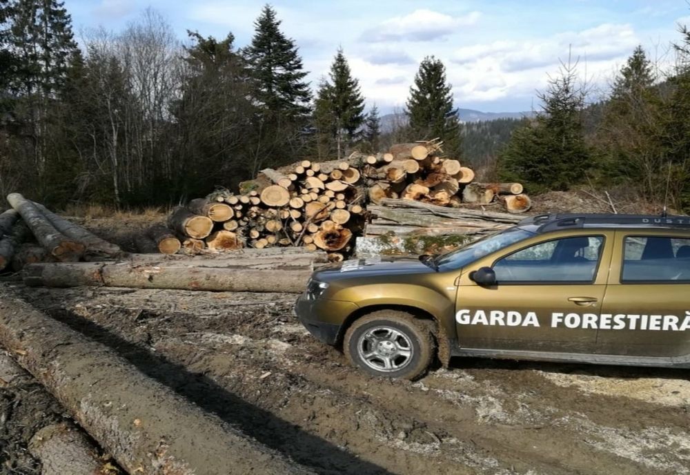 REORGANIZAREA GĂRZII FORESTIERE, ADOPTATĂ ÎN SENAT