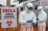 Ebola a ucis peste 1.000 de oameni în Republica Democratică Congo și Uganda, anunță OMS