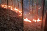 Incendiu de proporţii în pădurile din județul Bihor. Pompierii luptă de trei zile cu flăcările care se extind cu repeziciune