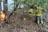 Incendiu de pădure la Tărcăița, în județul Bihor: focul a afectat 21 de hectare, iar pompierii intervin pentru a doua zi