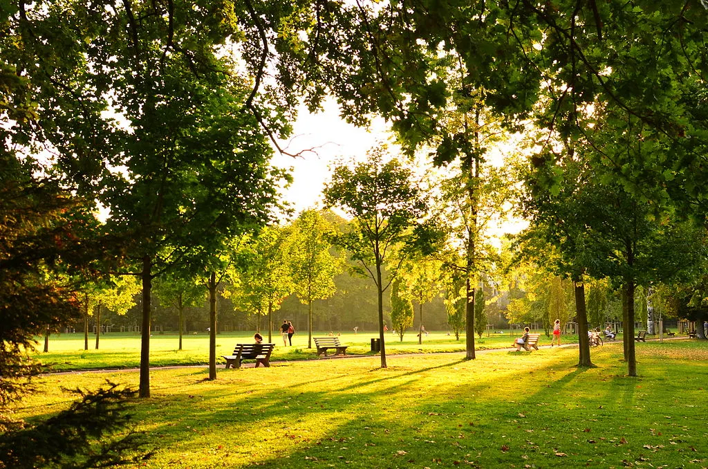 coridor verde Oradea