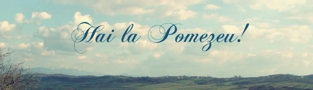 turism Comuna Pomezeu