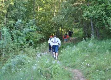 Consiliul Județean Bihor