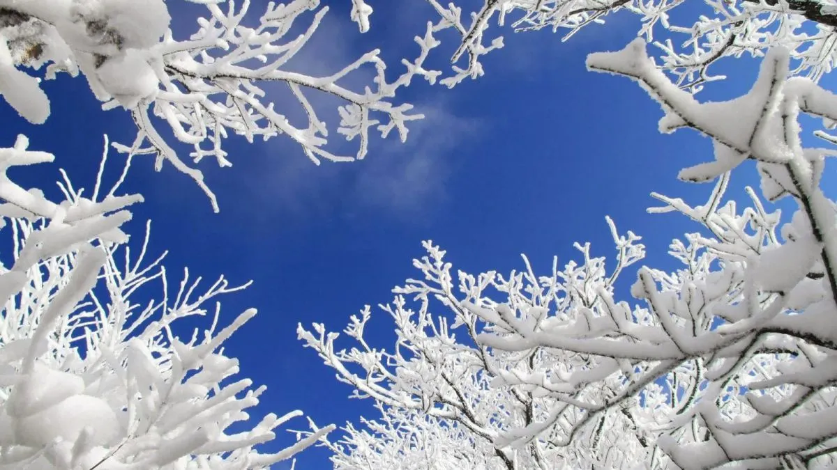 prognoza-meteo-pentru-urmatoarele-zile--temperaturi-scazute-si-ninsori-26581