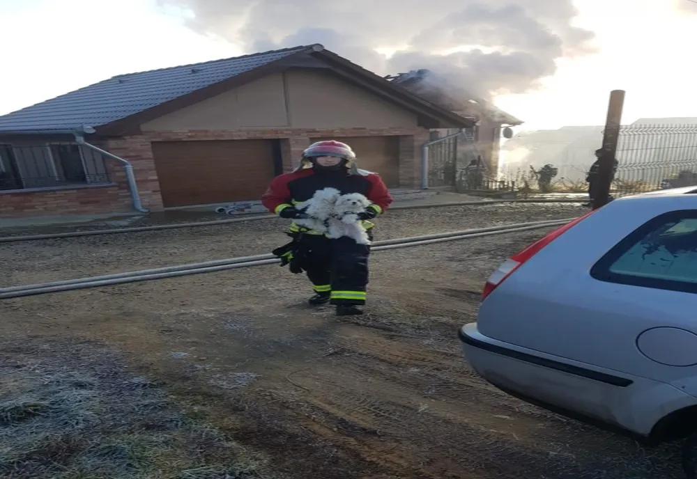 Pompierii bihoreni au salvat o femeie si doi căței dintr-un incendiu la o locuință din Paleu
