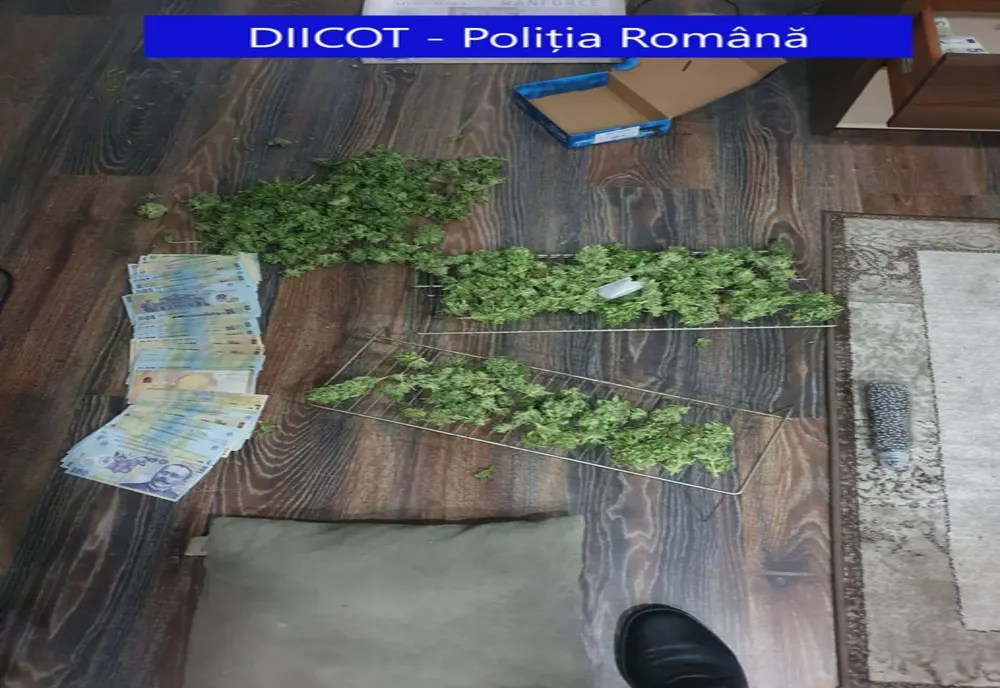 Tânăr reţinut pentru trafic de droguri! Au fost confiscate peste 500 de grame de cannabis