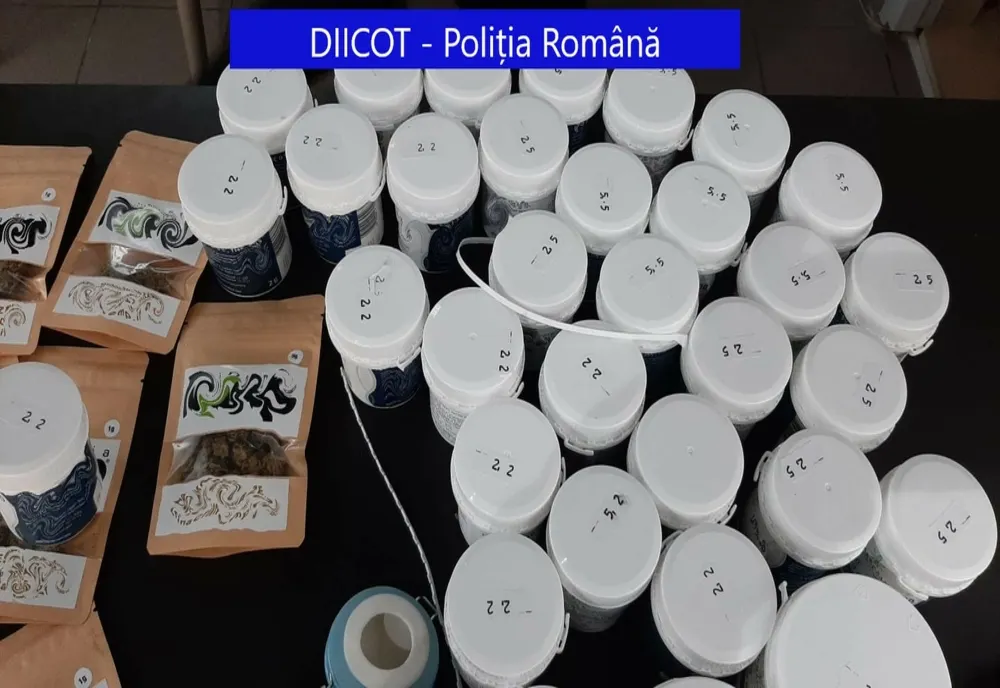 Perchezitii DIICOT în Oradea și Iasi la două firme suspectate de trafic de droguri