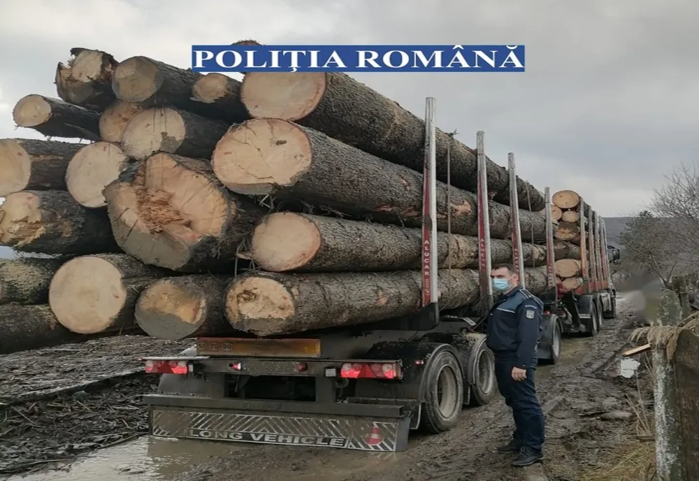 45,95 de metri cubi de lemn confiscați de polițiștii bihoreni
