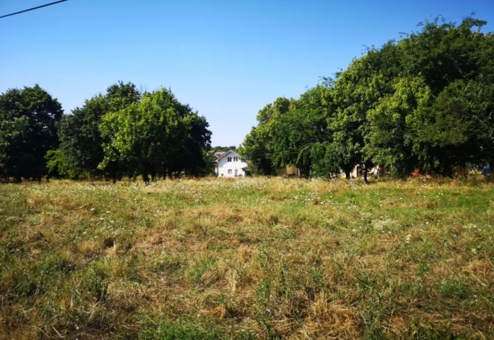 Un parc de peste 1,5 hectare va fi amenajat în Cartierul Tineretului din Oradea