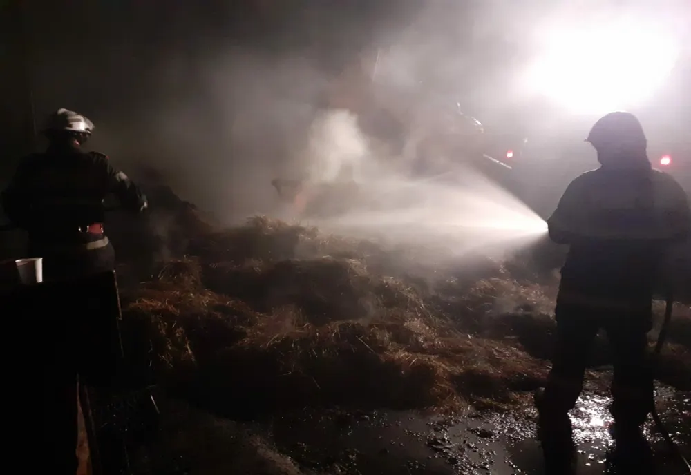 Incendiu violent în Răbăgani! Două persoane rănite, anexe și animale mistuite de flăcări