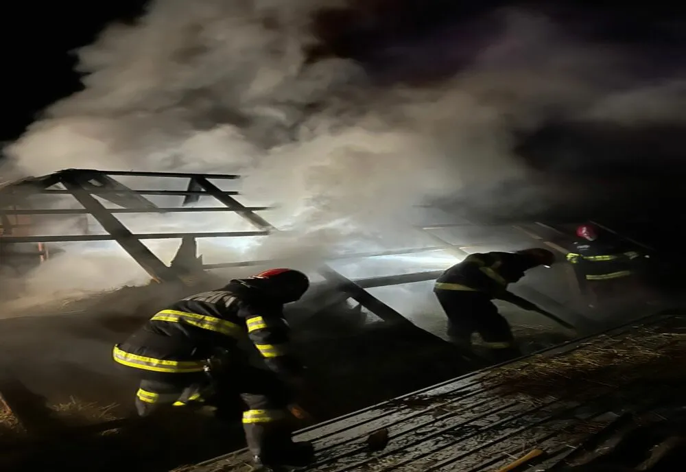 Animale și construcții salvate dintr-un incendiu în Câmpani