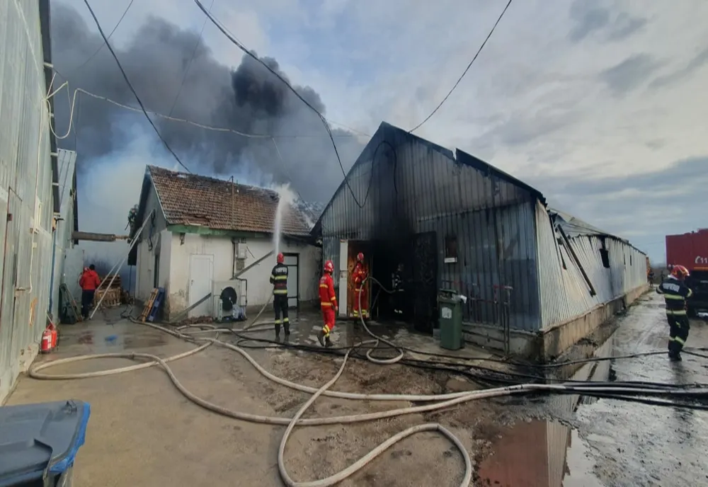 Alertă în Bihor! Două hale au fost cuprinse de flăcări (FOTO)
