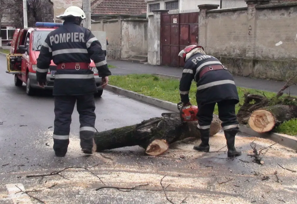 Mai mulți copaci și stâlpi, căzuți pe carosabil și trotuare în Bihor, din cauza vântului puternic
