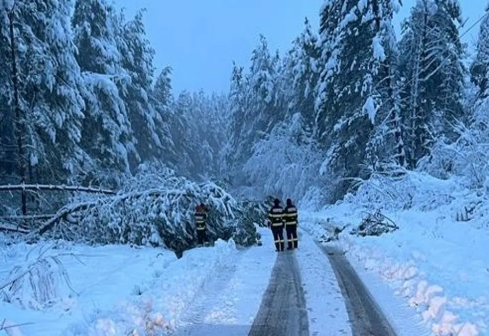 Drumuri blocate în judeţul Bihor! Ninsoarea şi vântul au provocat numeroase pagube (FOTO)