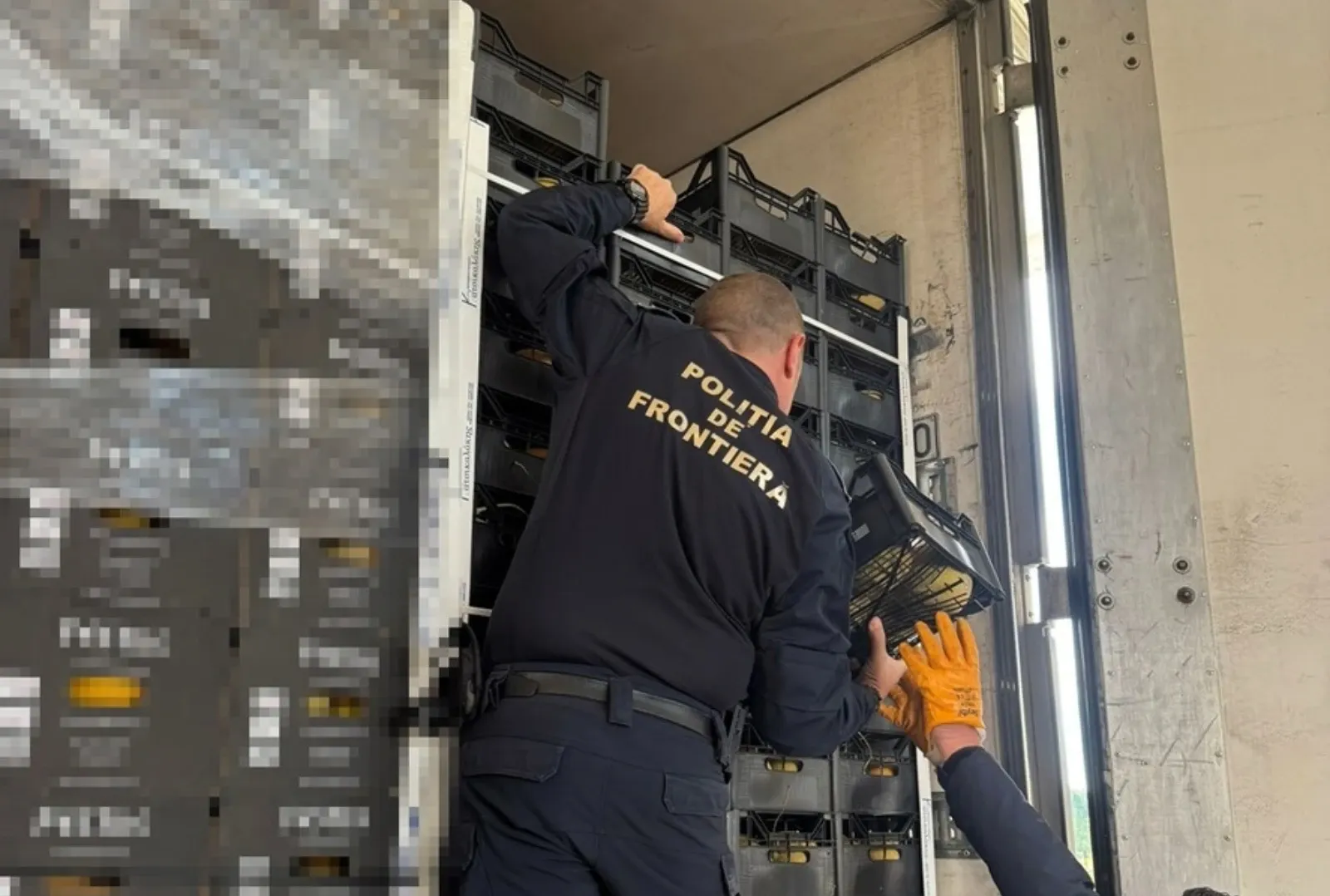 Polițiști de frontieră