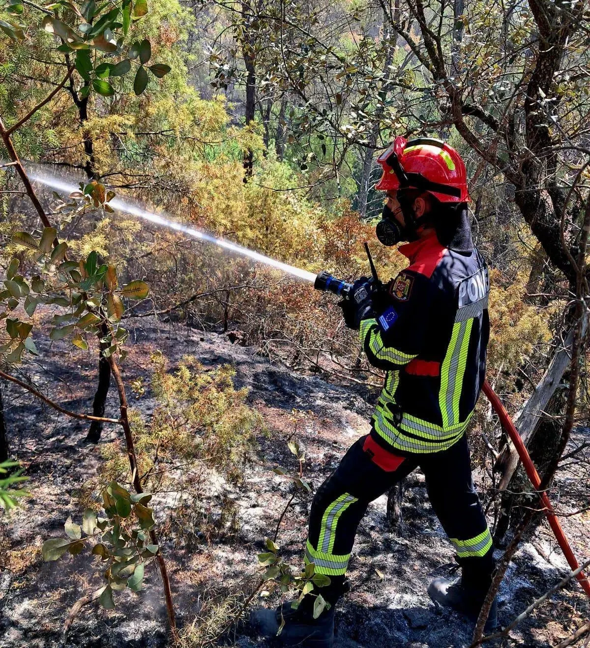 Incendii în județul Bihor