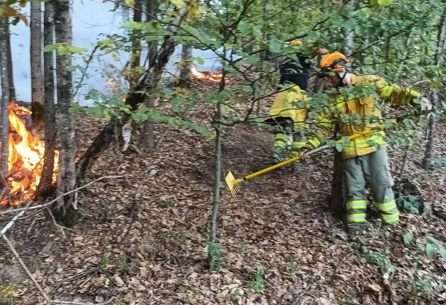 Incendiu în Bihor