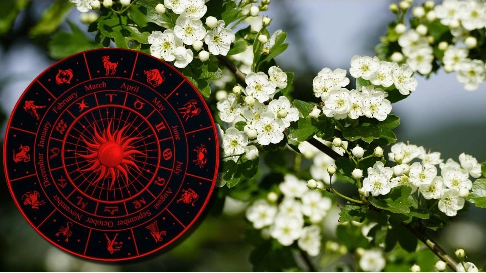 Horoscopul zilei de sâmbătă, 14 martie