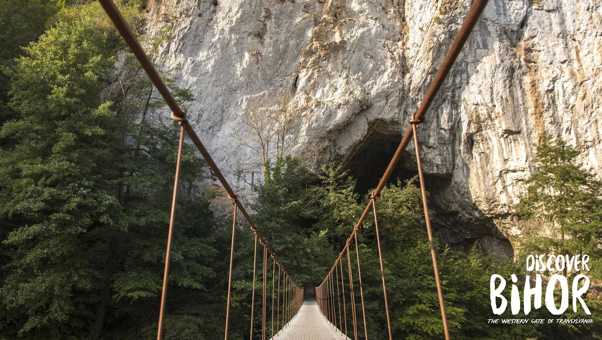 Pădurea Craiului Bihor