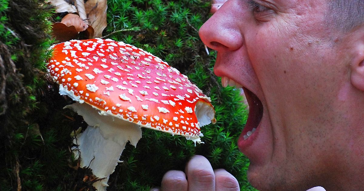 intoxicație ciuperci Oradea