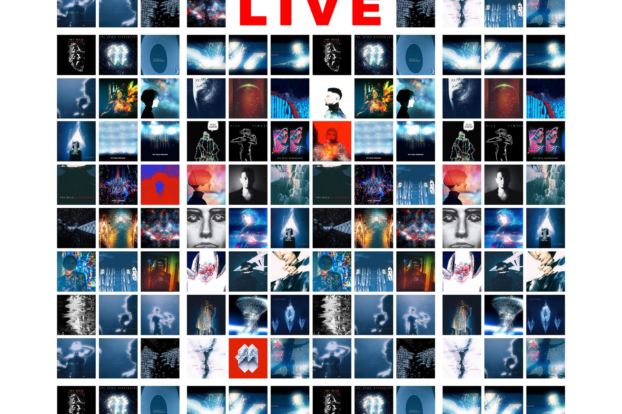 Thy Veils Cetatea Oradea