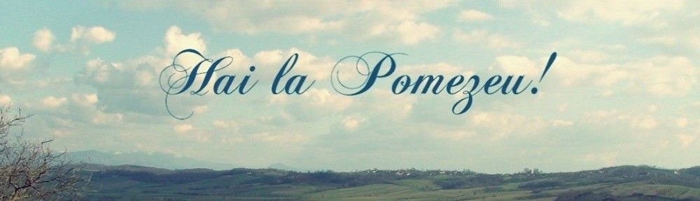 turism Comuna Pomezeu