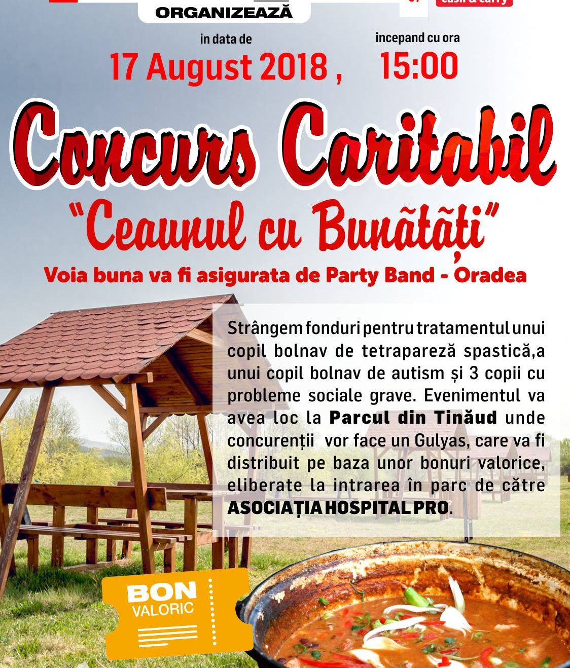 Zilele orașului Aleșd și concurs caritabil