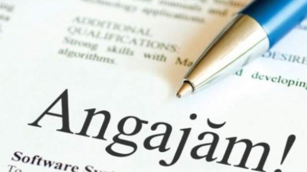 locuri de munca Oradea Bihor