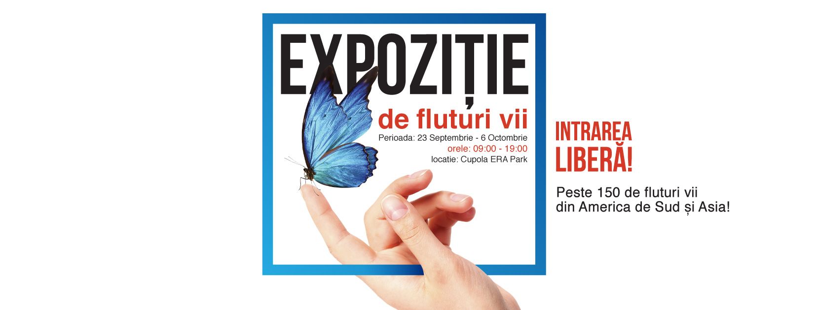 Expoziție de fluturi vii