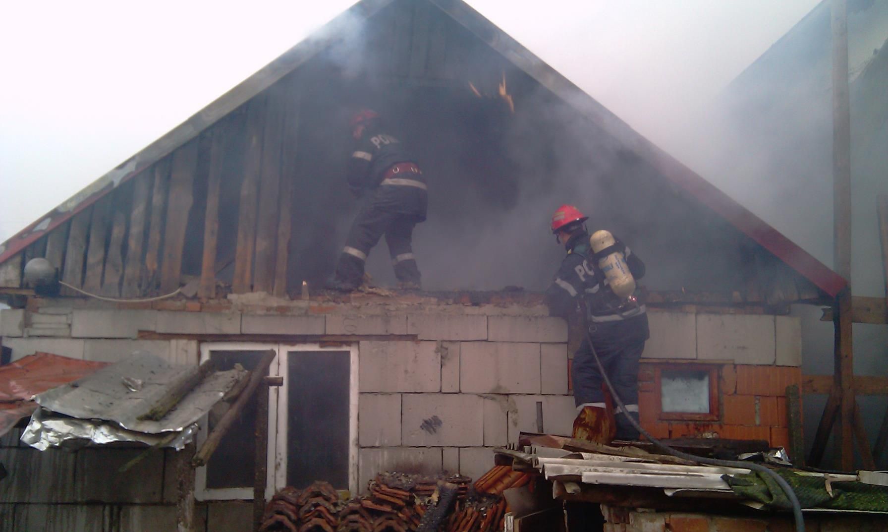 111918_1044_Peste50demi1