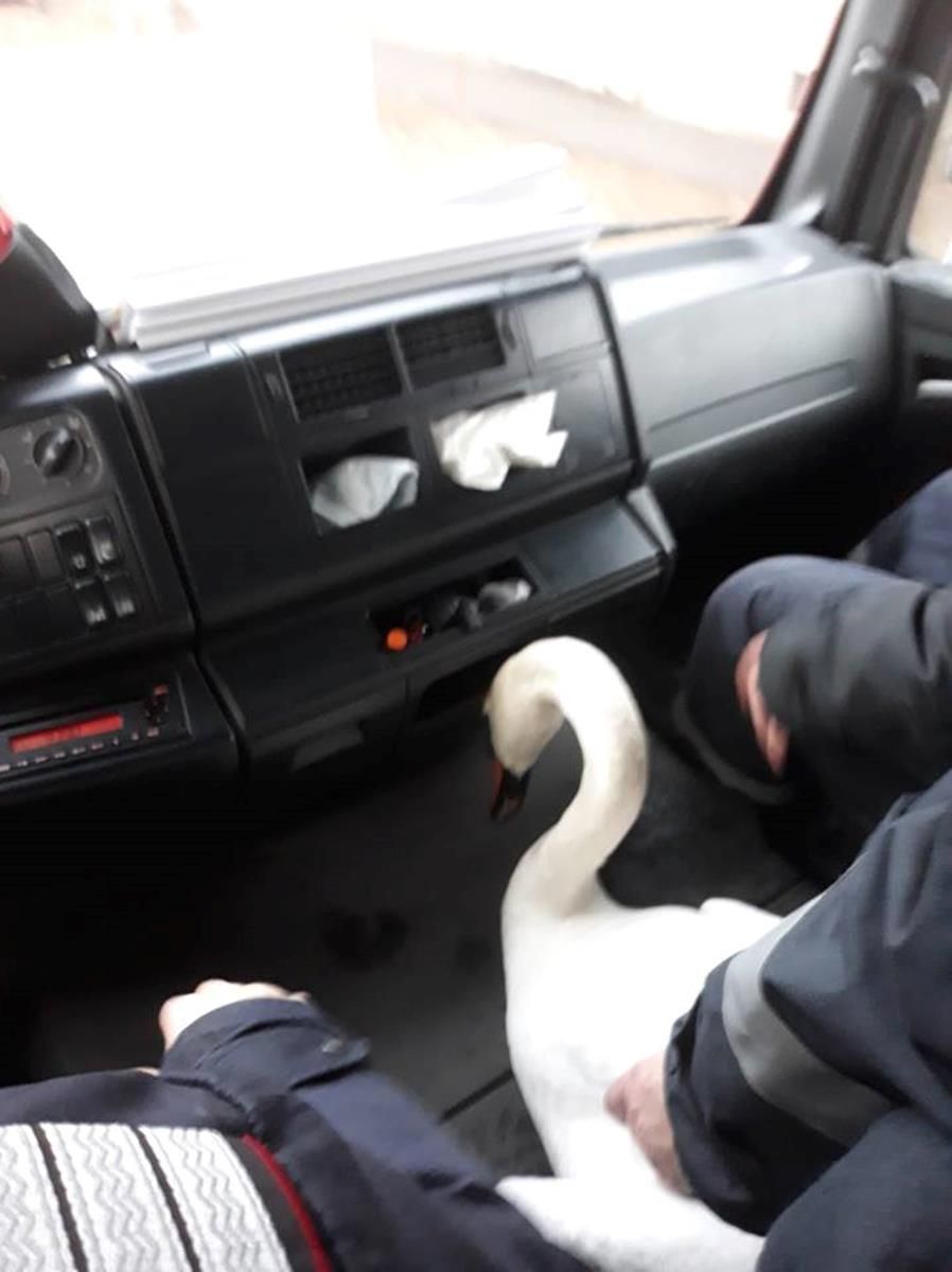 013119_1340_Salvarelebd1